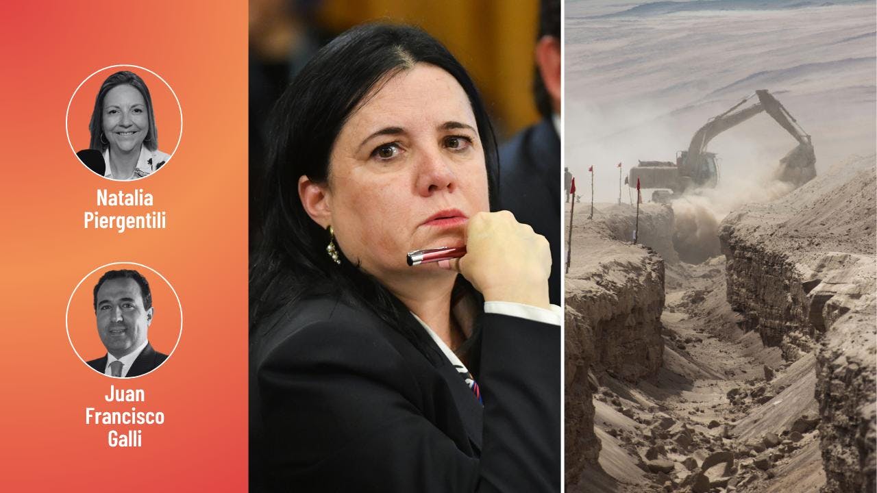Galli y Piergentili por la defensa del medio ambiente y las críticas contra la ministra Steinert