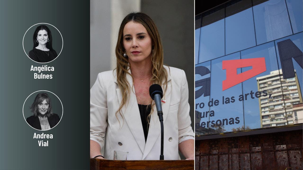 Las críticas contra la vocera Mara Sedini y el futuro incierto del GAM