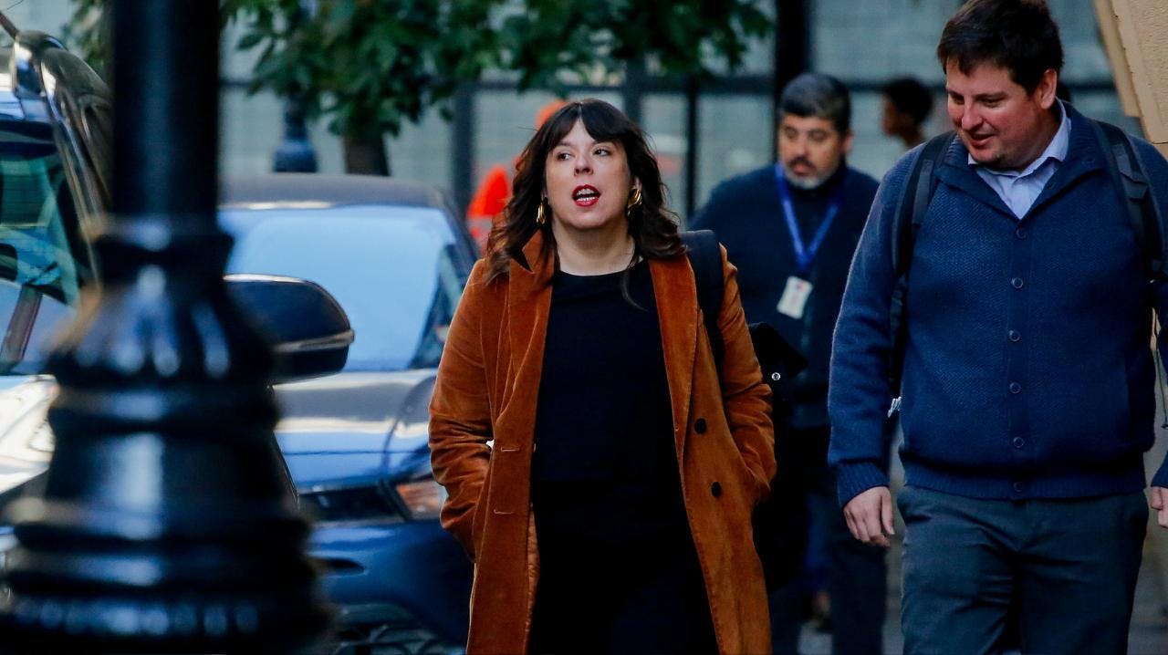 Constanza Martínez (FA)  por la ley de reconstrucción:  "Este es un muy mal proyecto (...) aporta incertidumbre a nuestro país”