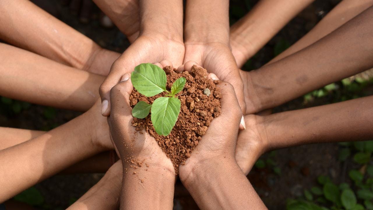 ¿Cómo aterrizar la conversación ambiental en la vida diaria?