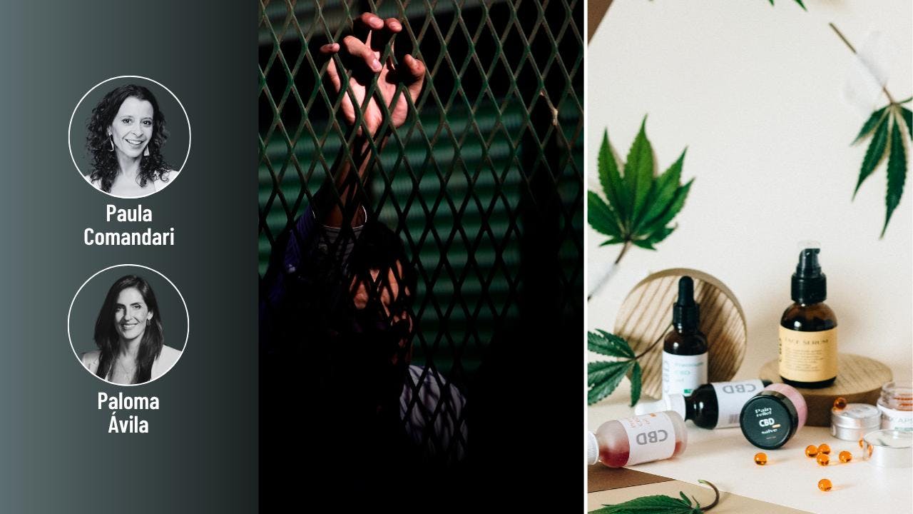 El fallo de Contraloría por la ampliación de Santiago 1 y el panorama de la cannabis medicinal