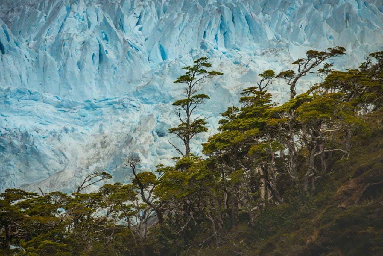 Timaukel: el destino fueguino que apuesta por la naturaleza, la aventura y el turismo sostenible