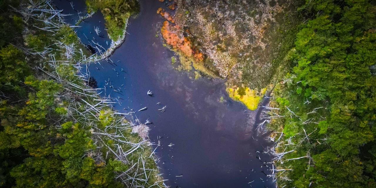 5 razones para descubrir Timaukel, uno de los secretos mejor guardados de Tierra del Fuego
