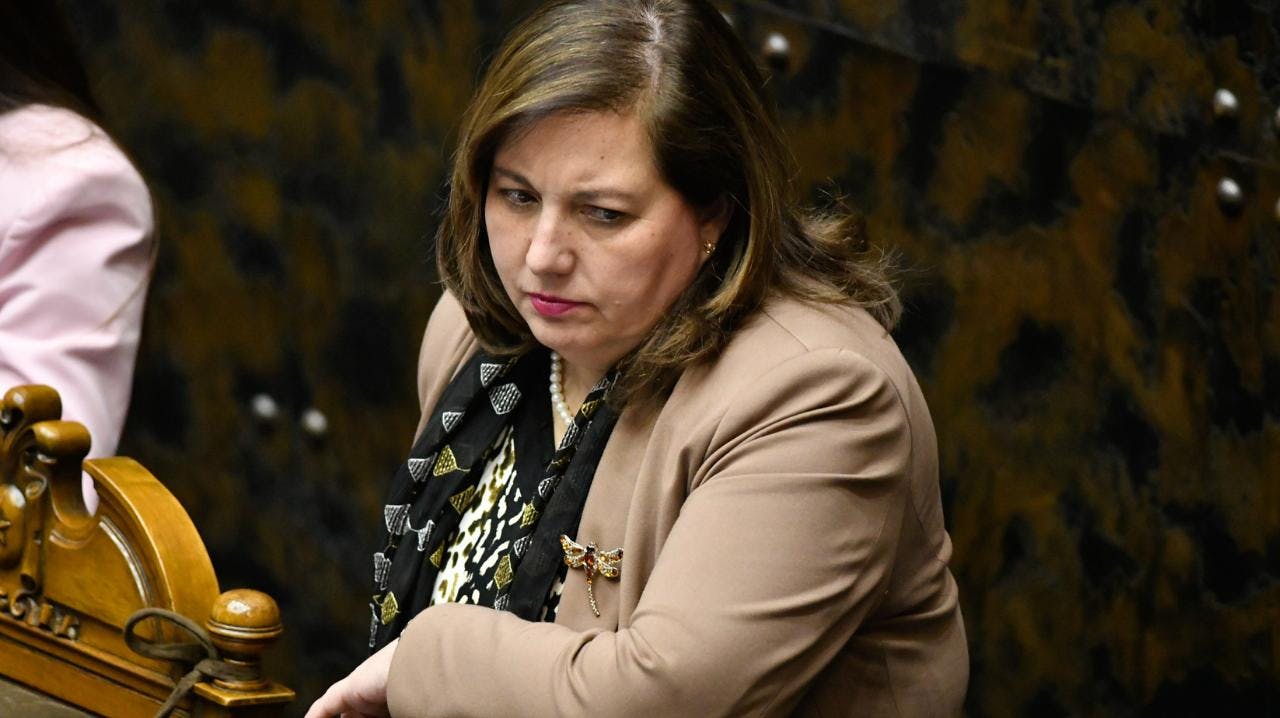 Paulina Vodanovic sobre Plan de Reconstrucción Nacional: "El Gobierno no ha tenido la voluntad política de modificar el proyecto"