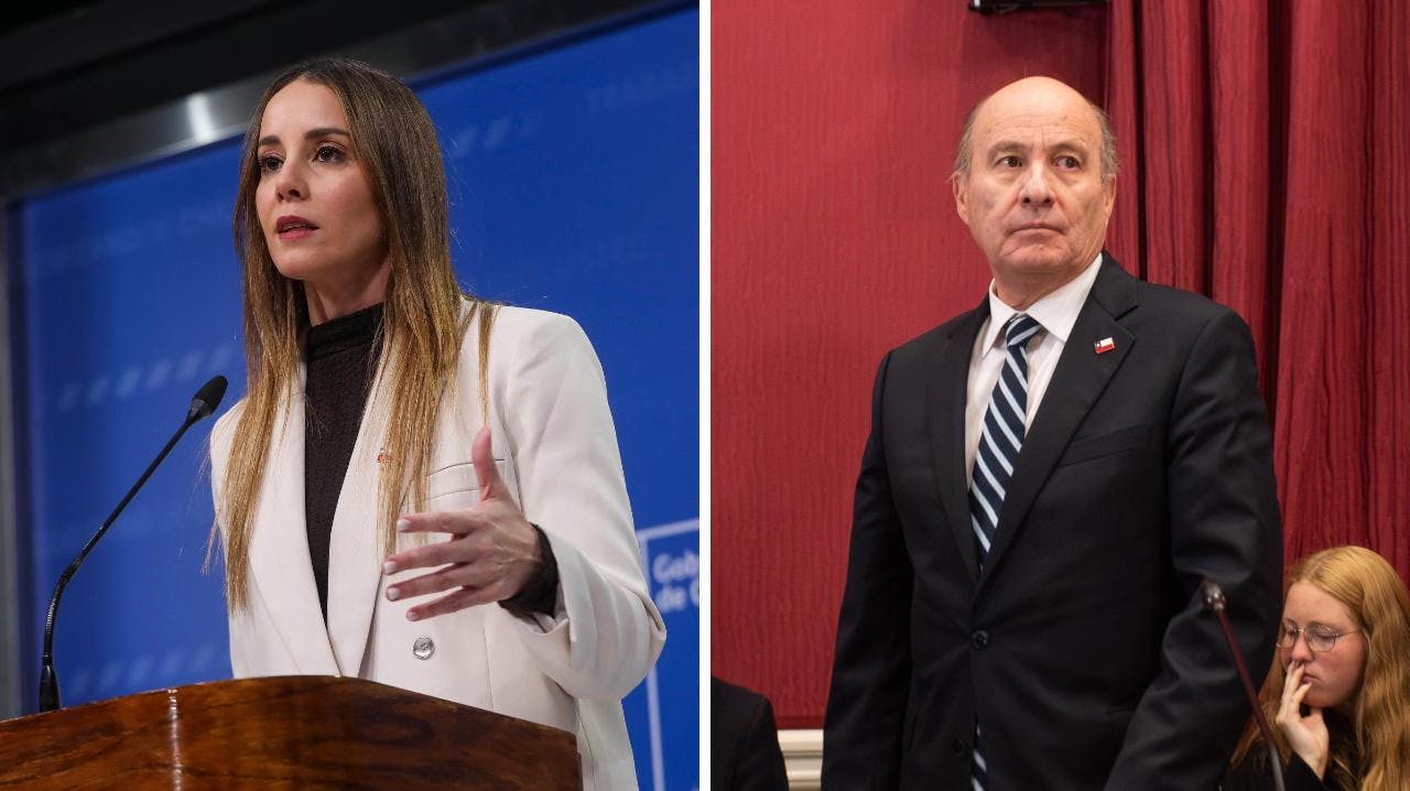Cavallo por la reaparición de la exministra Mara Sedini y el avance de la mega reforma