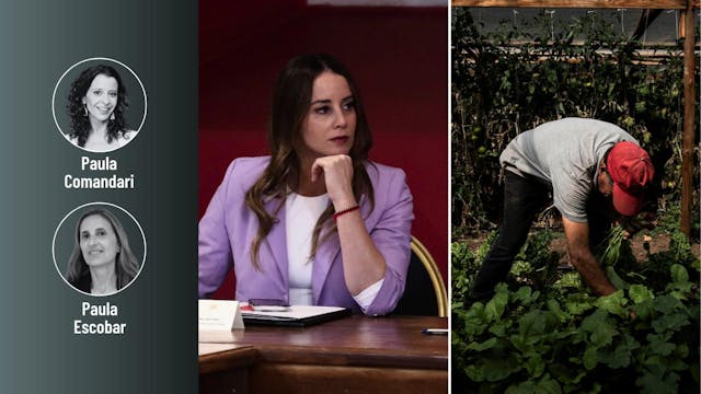 Los coletazos que dejó en el oficialismo la entrevista de Mara Sedini y el debate por la flexibilidad laboral