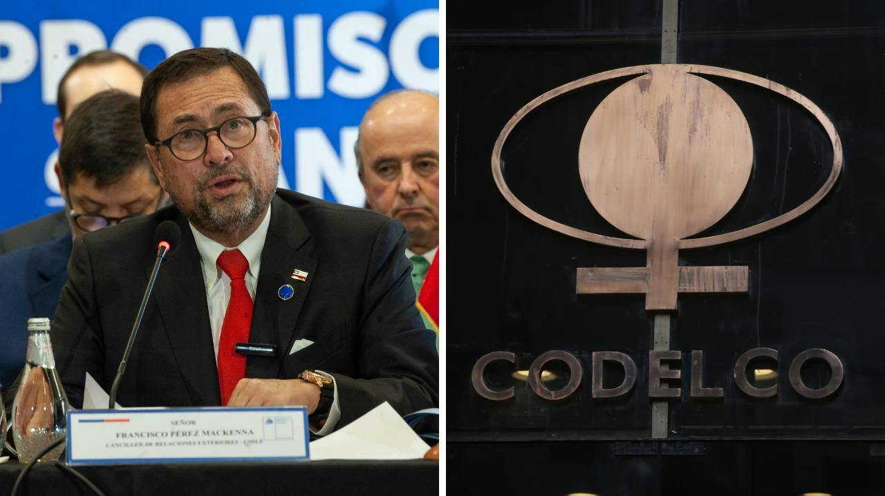 Cavallo por la idea de privatizar Codelco y el alza de aranceles de Estados Unidos