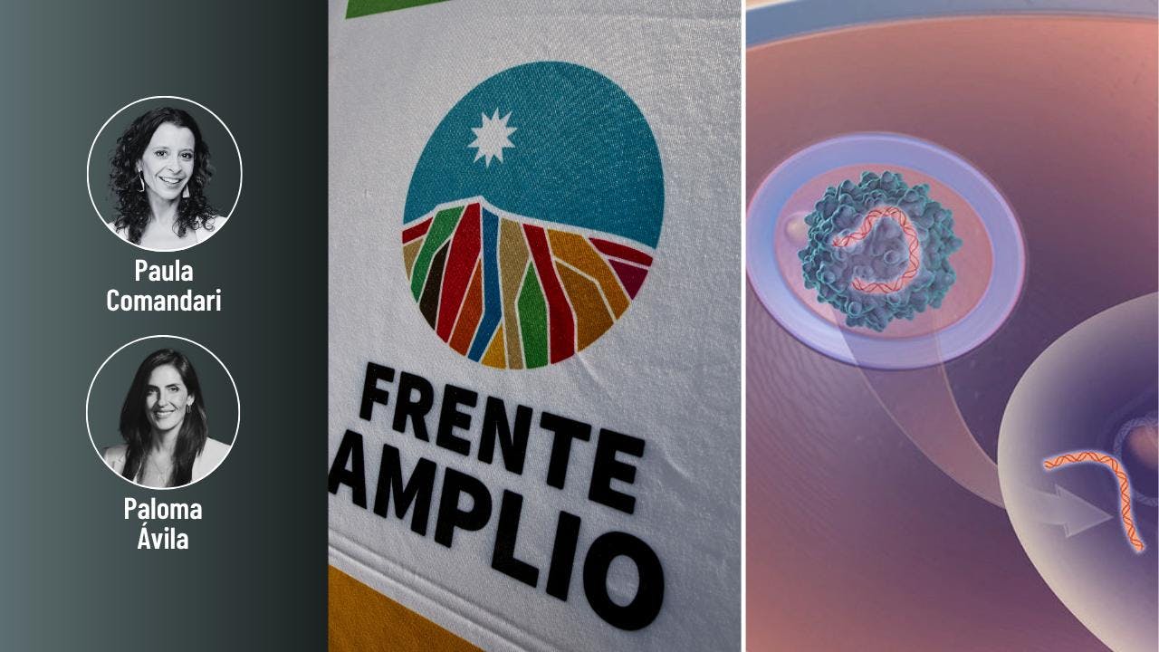 Las dos almas del Frente Amplio previo a elecciones internas y el dilema de la terapia génica