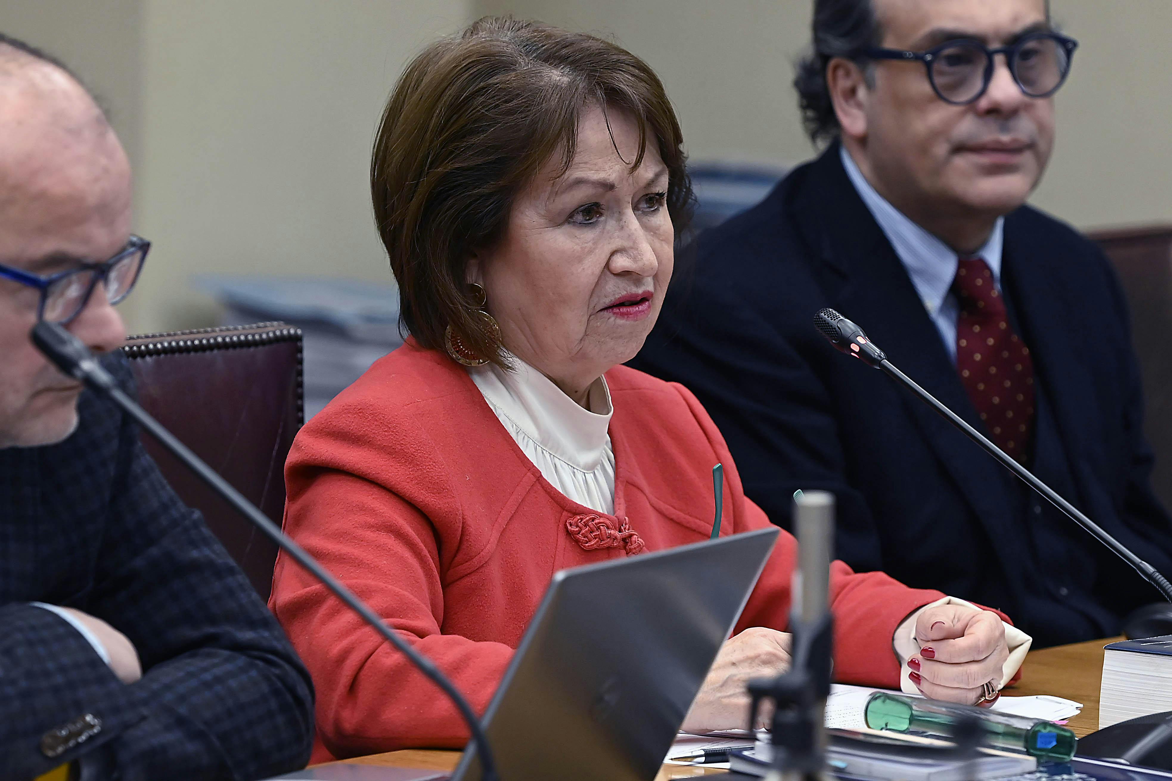 Marisol Peña por Megarreforma: "Dificulto promulgación antes de septiembre"