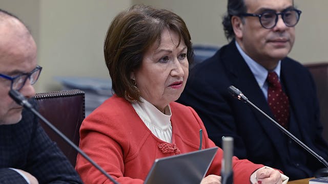 Marisol Peña por Megarreforma: "Dificulto promulgación antes de septiembre"