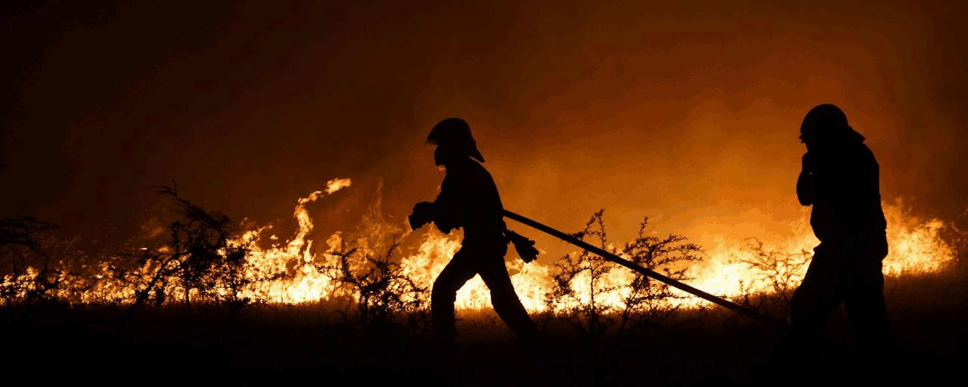 Martín Andrade sobre el Día de la Prevención de los Incendios Forestales y la vulnerabilidad en territorios