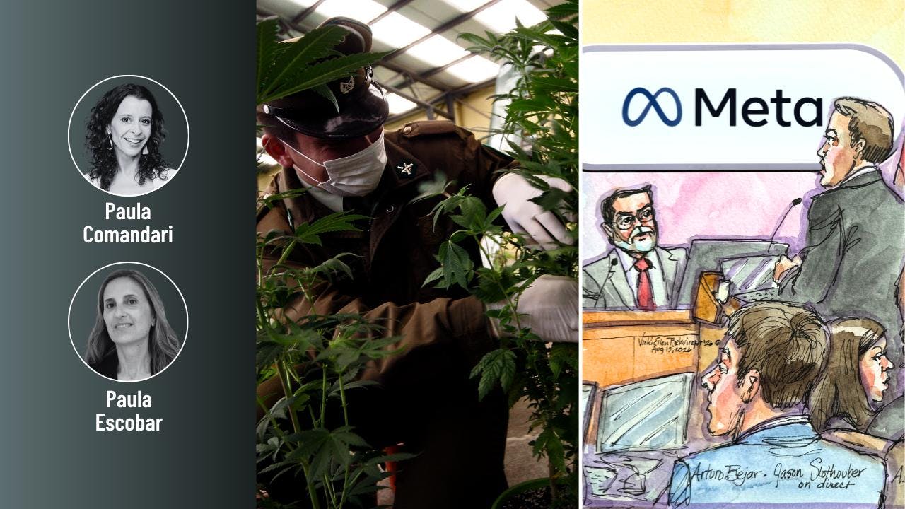 La Operación Imperio Ámsterdam que destapó una red de tráfico de marihuana y el juicio a Meta, demandada por la adicción de redes sociales en menores