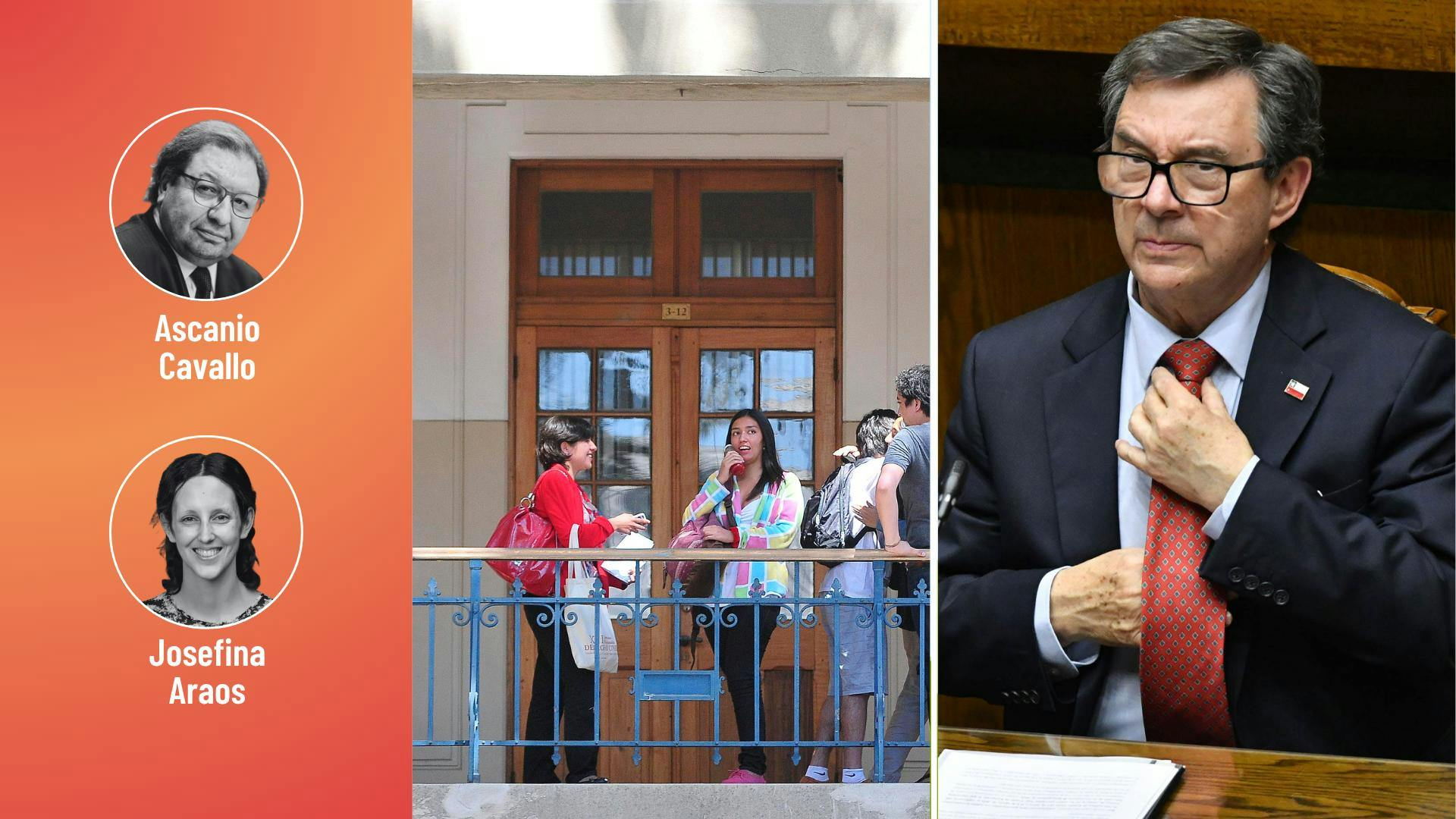 Cavallo y Araos por el “desempleo ilustrado” y reapertura del debate por descoordinación en el Gobierno