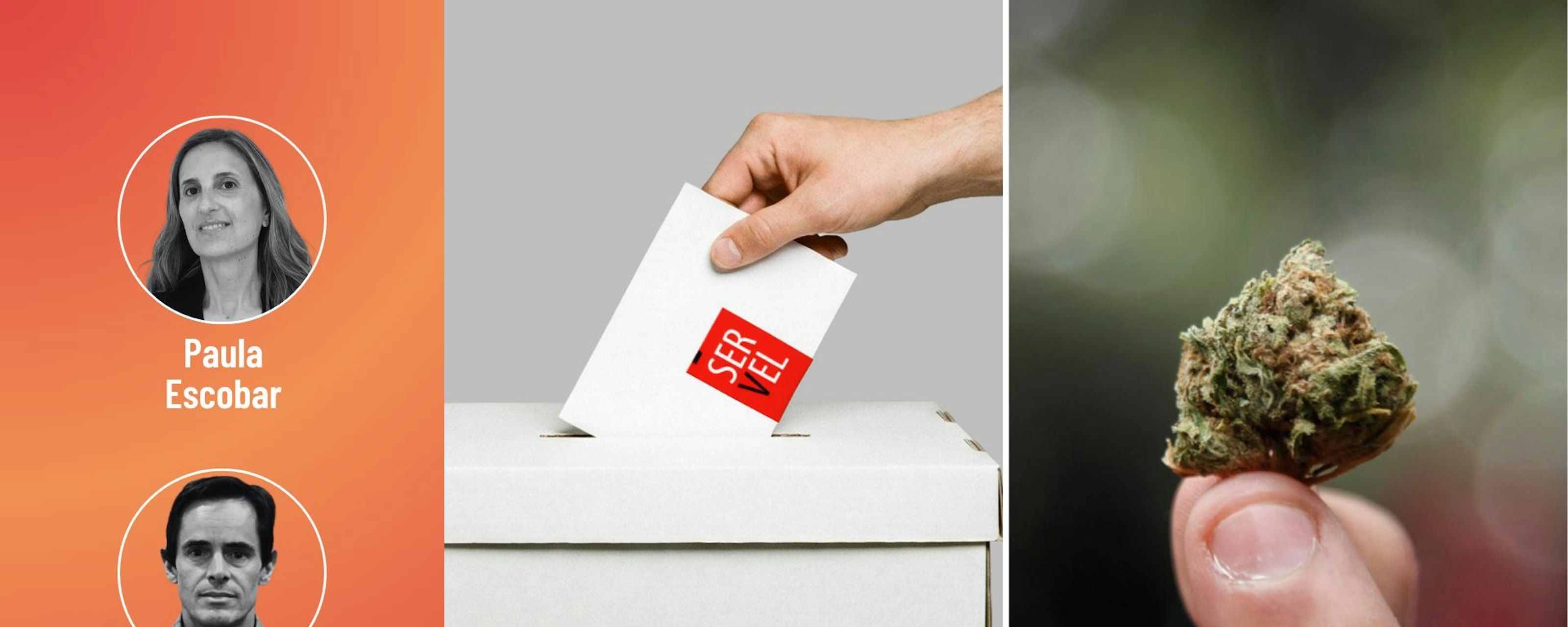 Escobar y Valdivieso por los hallazgos sobre la marihuana en EE. UU. y qué pasa con la democracia liberal