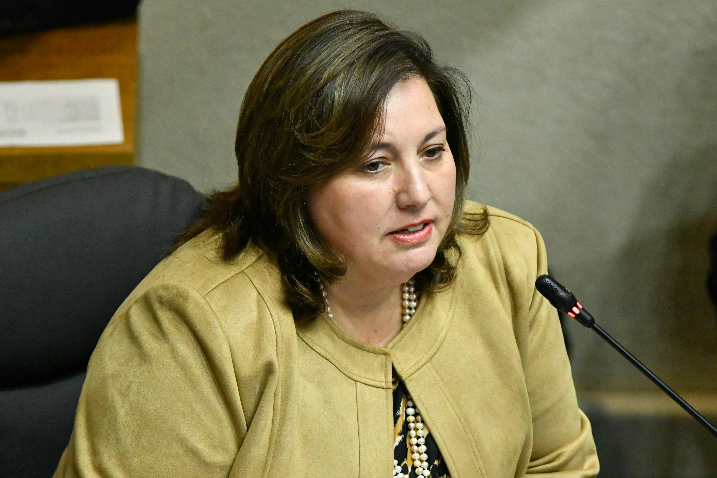 Paulina Vodanovic cuestiona reforma de seguridad y pide retirar propuesta sobre estado de excepción