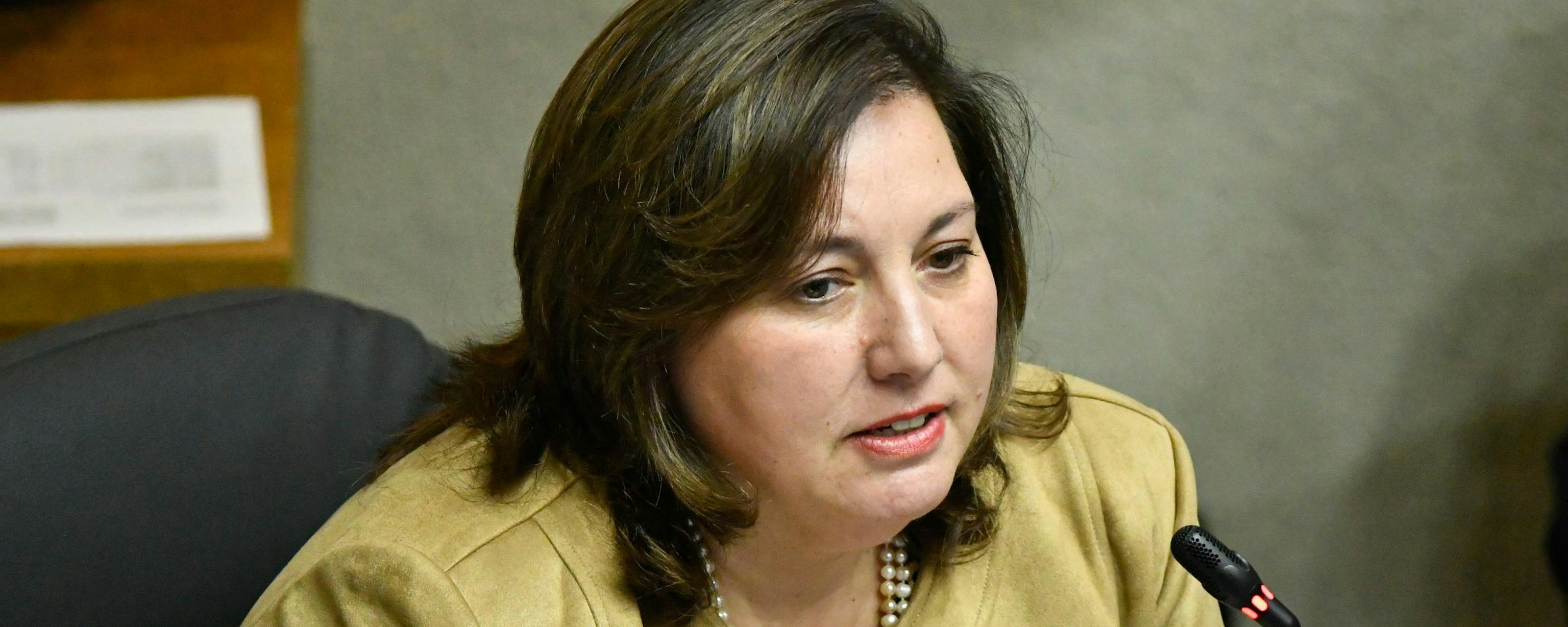 Paulina Vodanovic cuestiona reforma de seguridad y pide retirar propuesta sobre estado de excepción