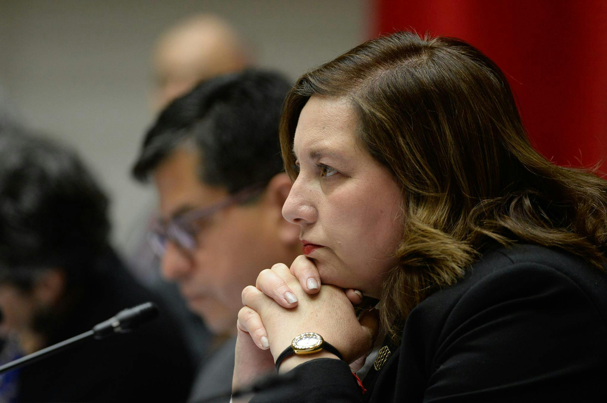 Paulina Vodanovic por reforma de seguridad: "Te someten a un chantaje"