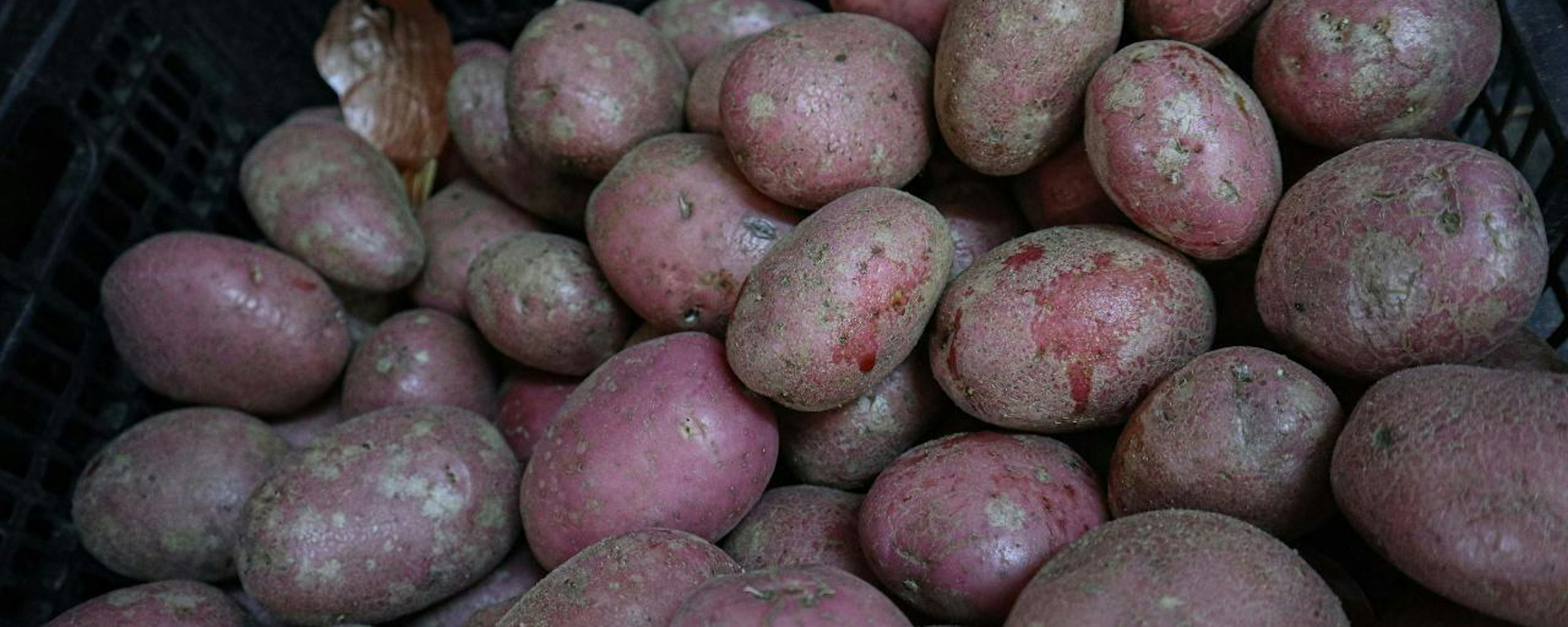 La inflación subió 0,4% en septiembre, en línea con las estimaciones del mercado