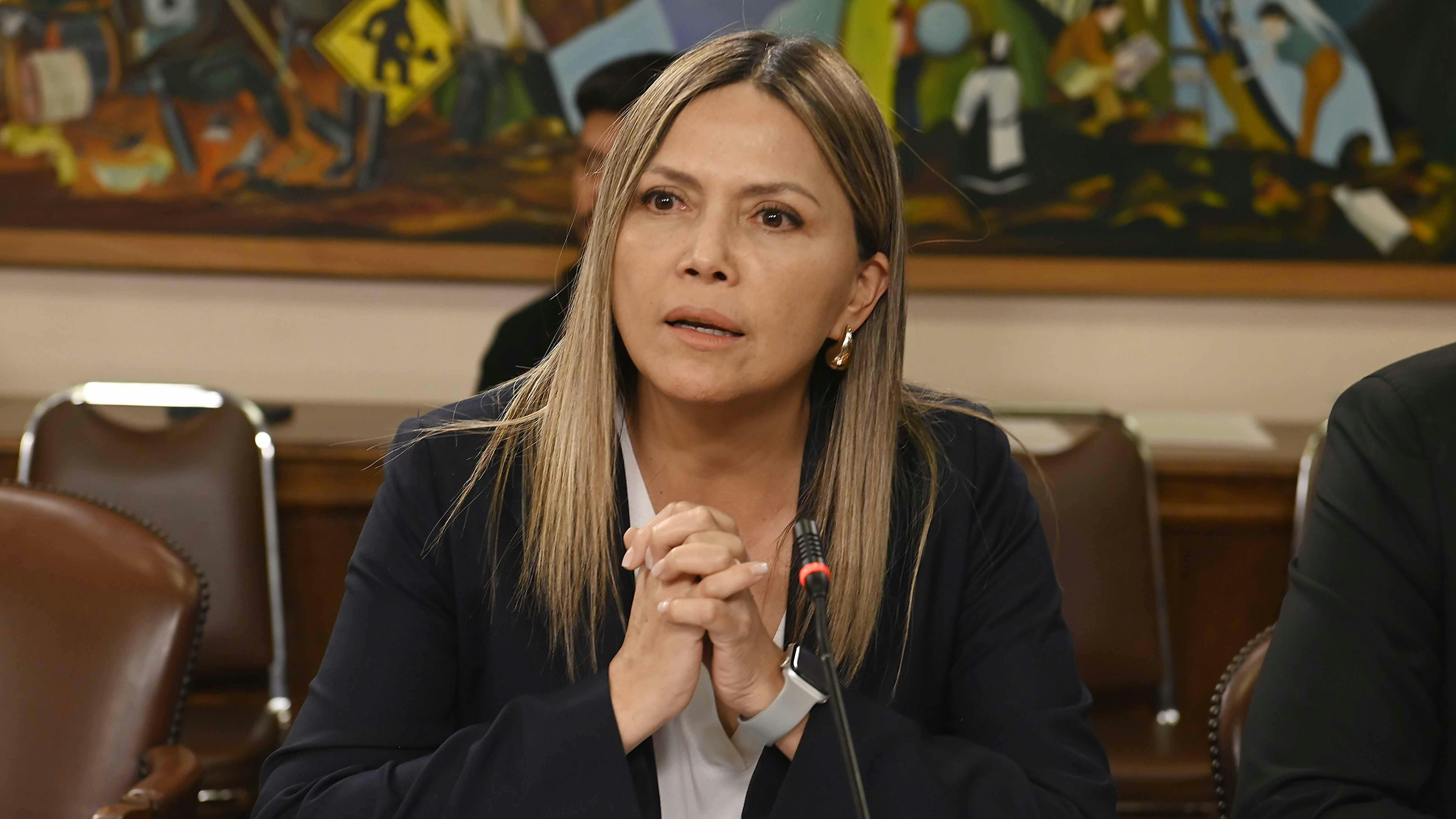 Diputada Pérez y salida de subsecretario Silva: “No va a terminar con el escándalo, va a continuar con la AC”