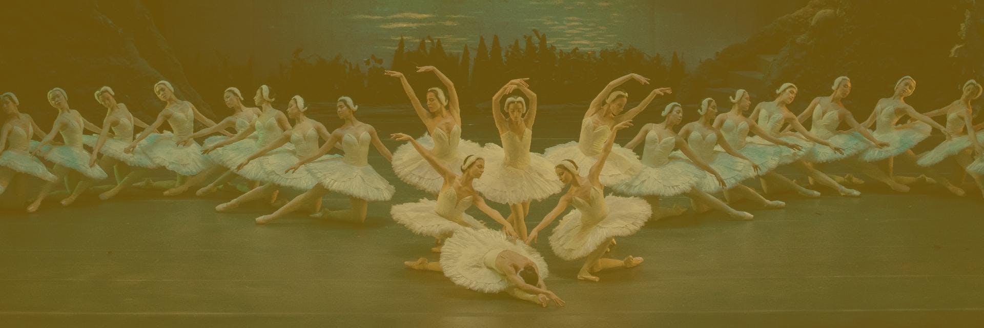 T25 / Programa de sala - Ballet: El lago de los cisnes