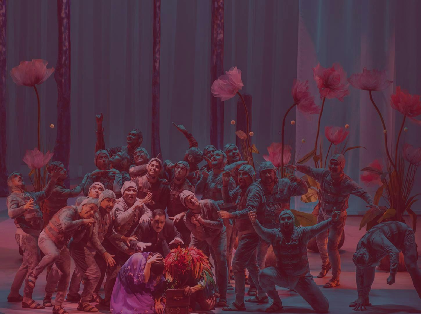 T24 / Programa de sala - Ópera: "La flauta mágica"