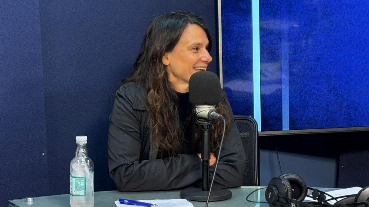 Andrea Repetto y fin al CAE: "En su conjunto aparece como una cosa autocontenida que tiene un efecto positivo sobre las arcas fiscales, pero la parte que es puramente FES, es mala"