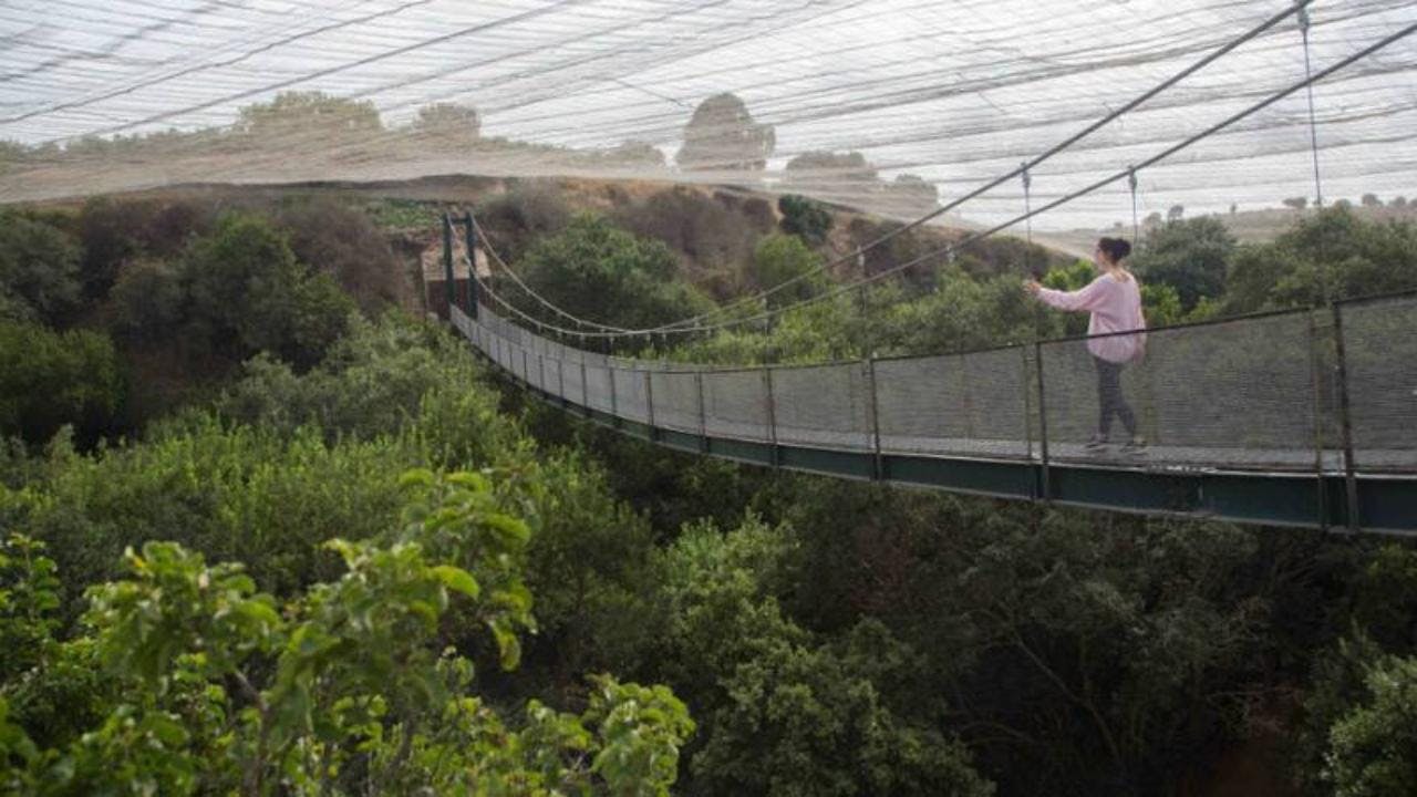 Robinson Vega sobre la Fundación Parque Tricao: “tenemos unos nuevos ejemplares en el aviario”