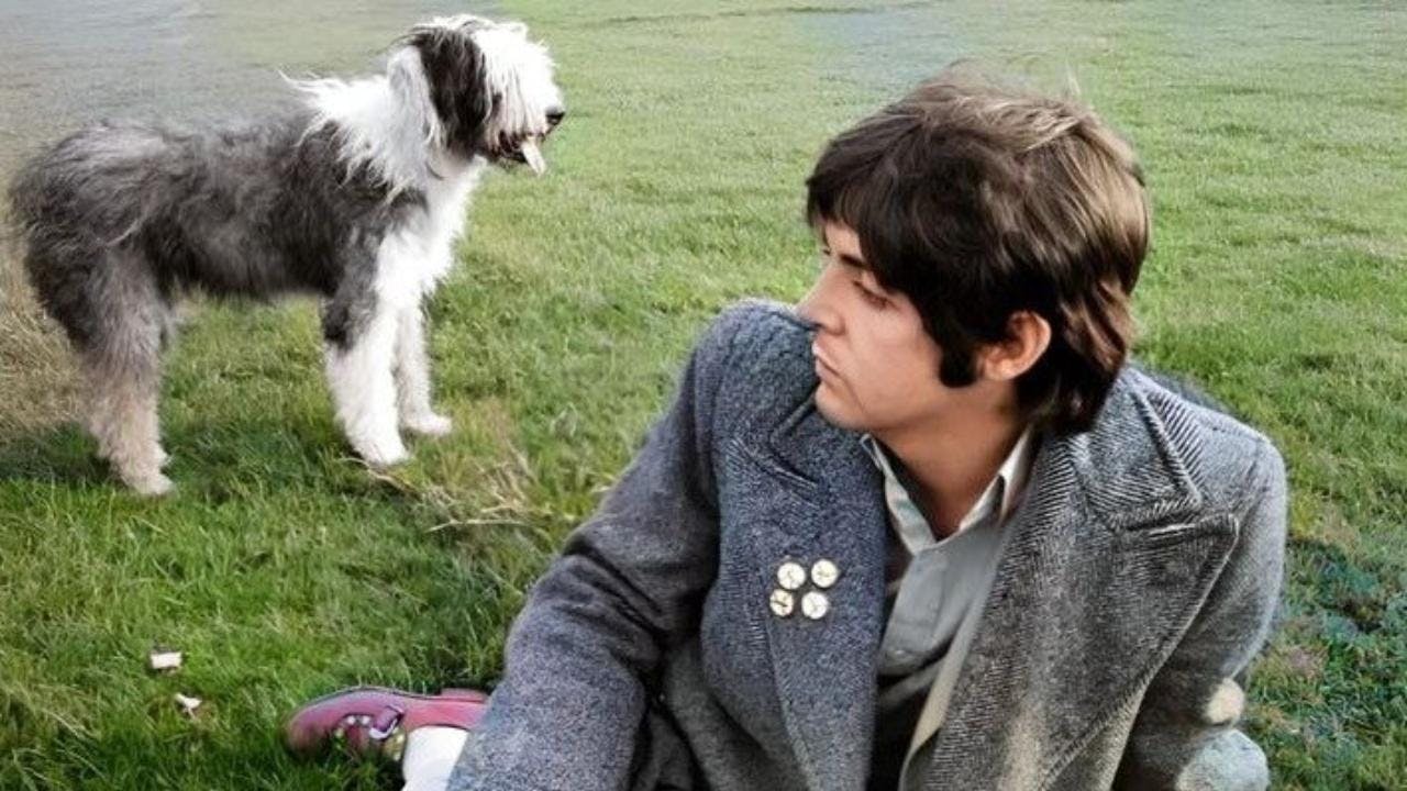 Martha My Dear: Cómo Paul McCartney expresó su amor hacia su perra con una legendaria canción