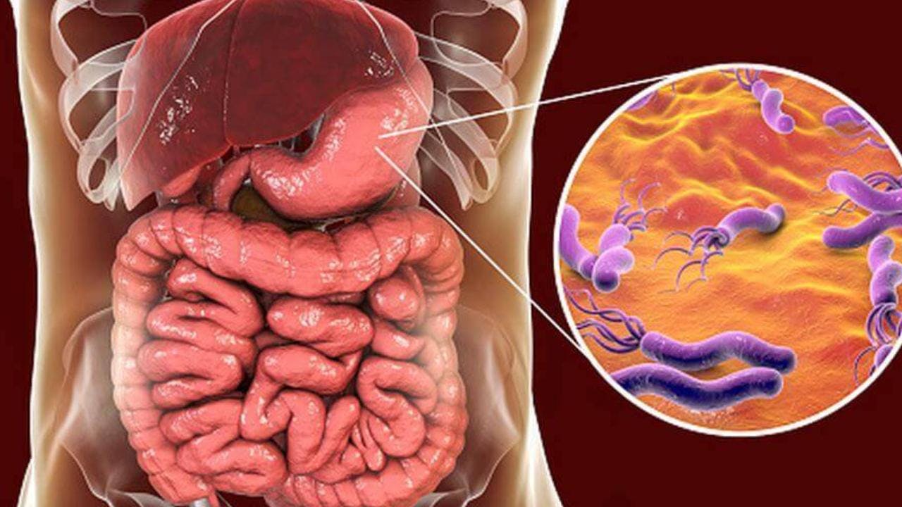 ¿Es el Helicobacter pylori solo dañino para la salud?