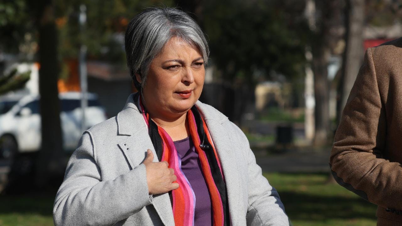 Estudio dice que Jara “movilizó cuatro veces más” que el socialismo democrático