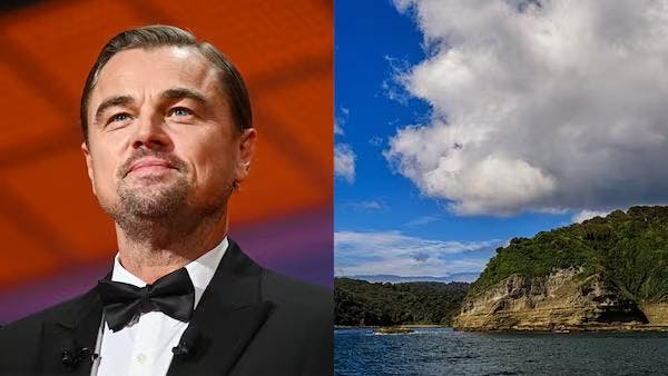 Isla Guafo: Así es el lugar en Chiloé que compró ONG vinculada a Leonardo Di Caprio