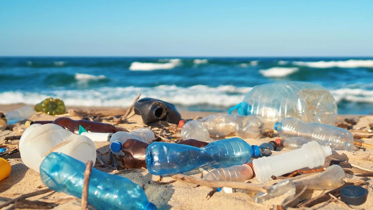 Plásticos fabricados en Chile lanzados al mar han llegado hasta Sudáfrica