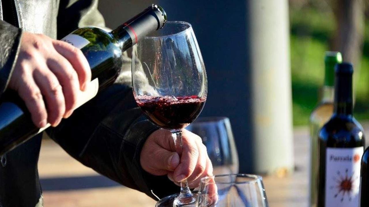 Día Nacional del Vino: La Vinoteca celebra con descuentos, juegos y experiencias únicas