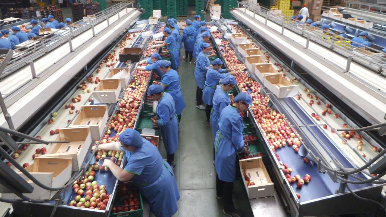 Los efectos positivos de las 40 horas: La mayoría de los trabajadores asegura que su vida personal ha mejorado