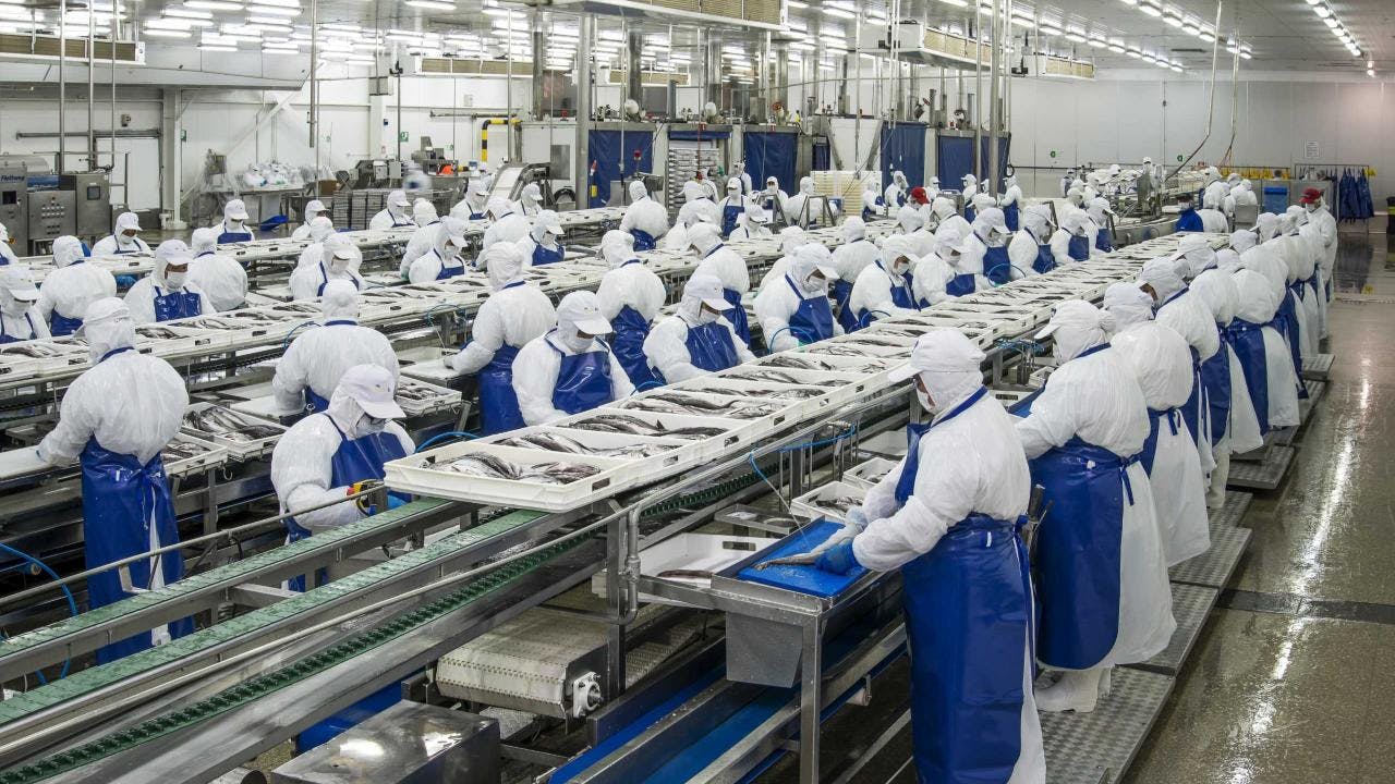 “Sentimos alivio”: Pacific Blu revirtió anuncio de cierre gracias a acuerdos por fraccionamiento