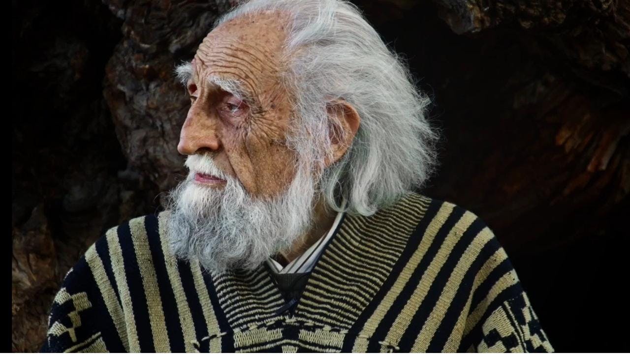 Falleció Gastón Soublette a los 98 años: filósofo, musicólogo y Premio Nacional de Humanidades 2023