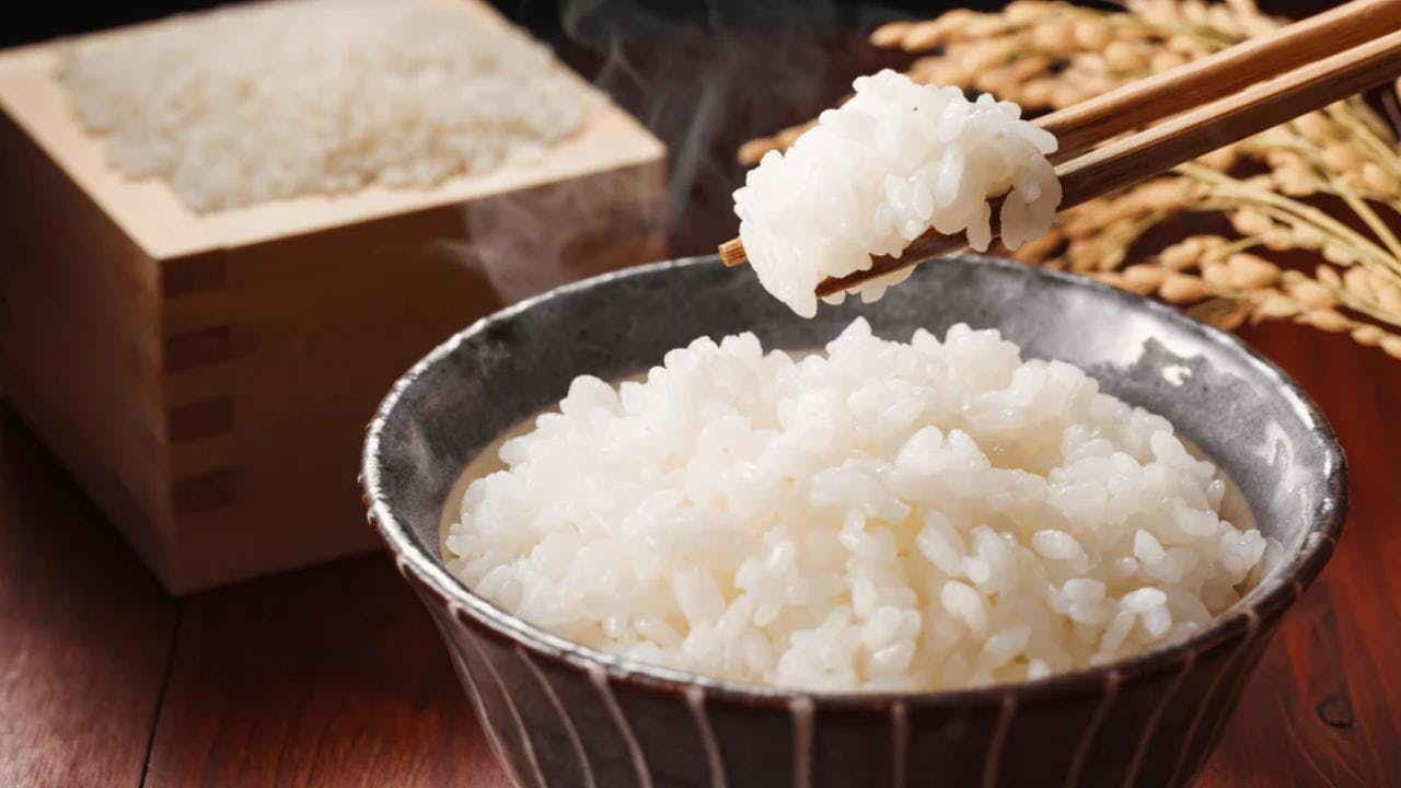 Crisis del arroz en Japón: Alimento ha duplicado su precio desde el año pasado
