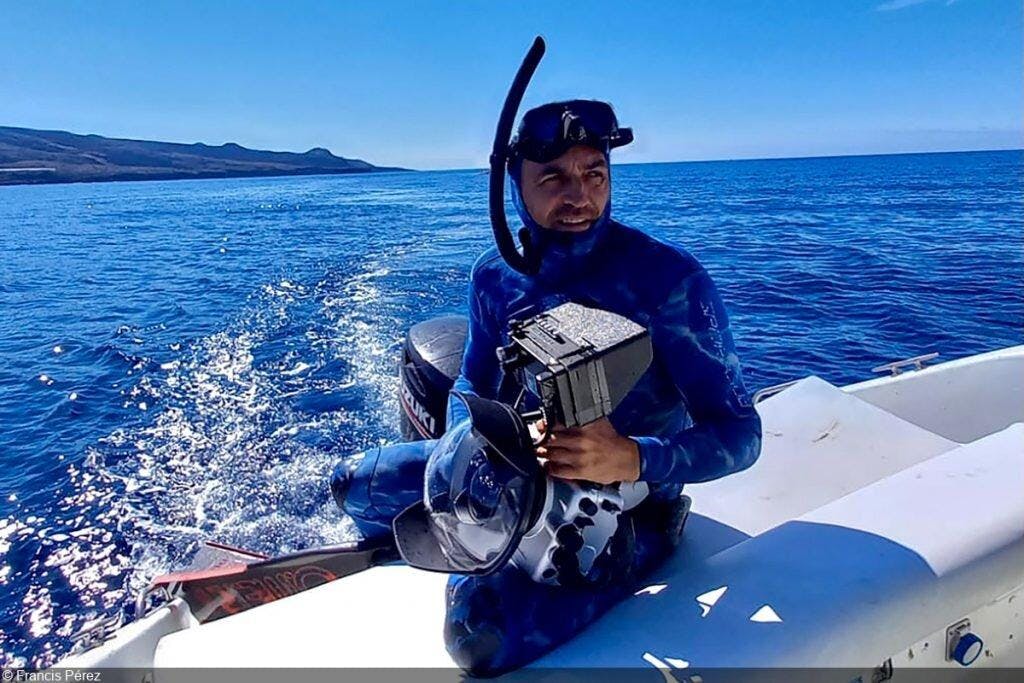 Francis Pérez sobre su experiencia como fotógrafo submarino: “Con los años me he dado cuenta de que, después de 30 años, ya no hay la misma vida que antes. Ahora hay menos”