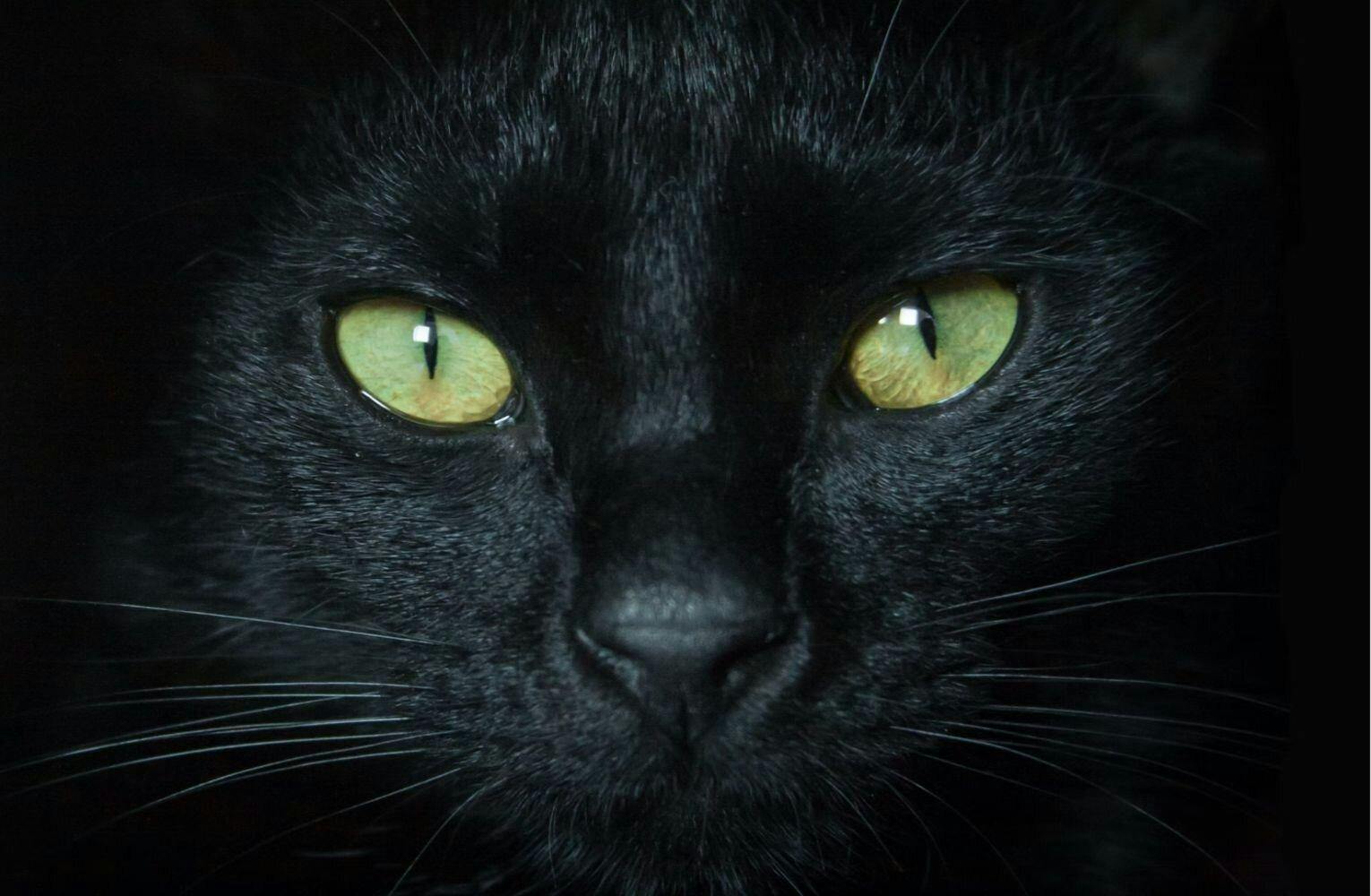 Hoy es martes 13 ¿Cuáles son las supersticiones de este día?