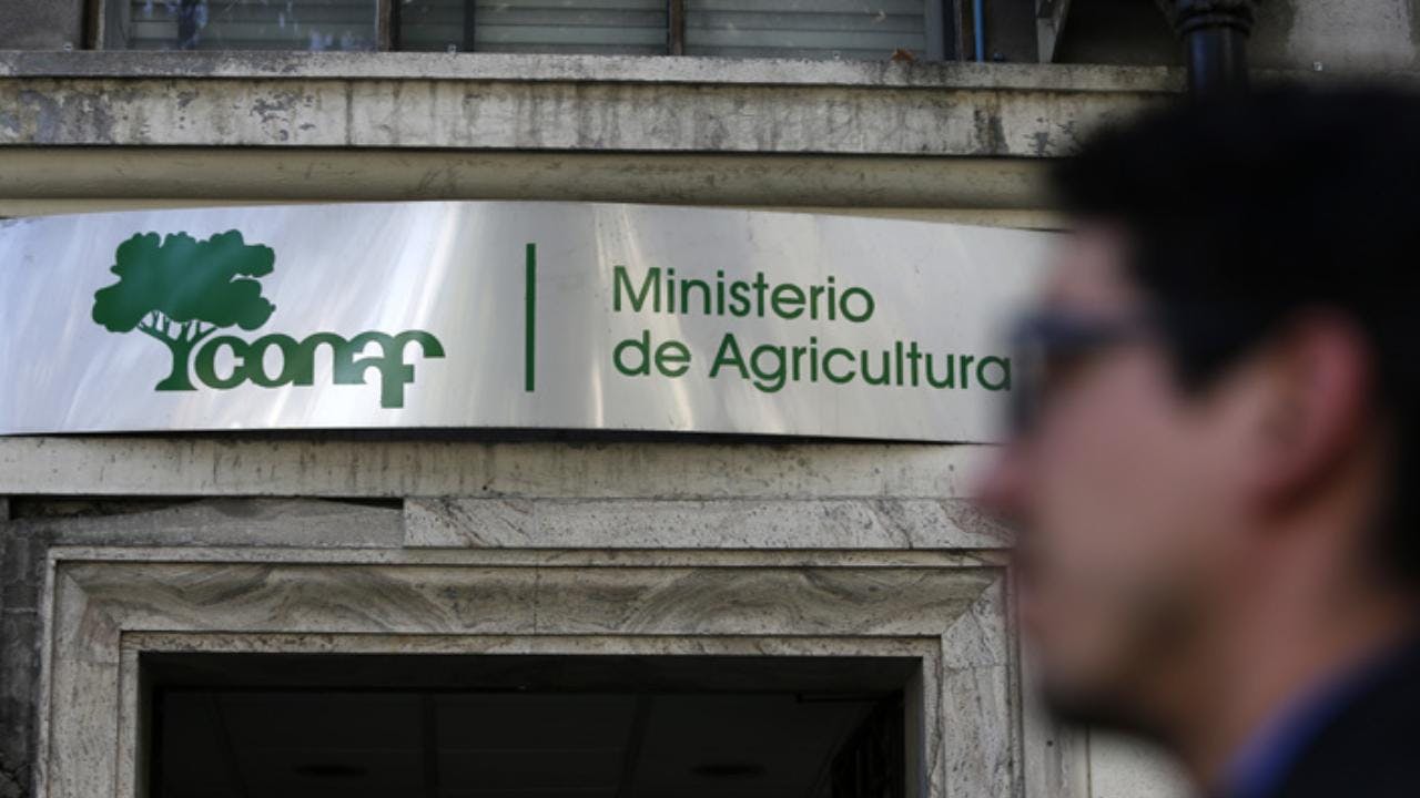 Fin de la Conaf ¿qué viene ahora?