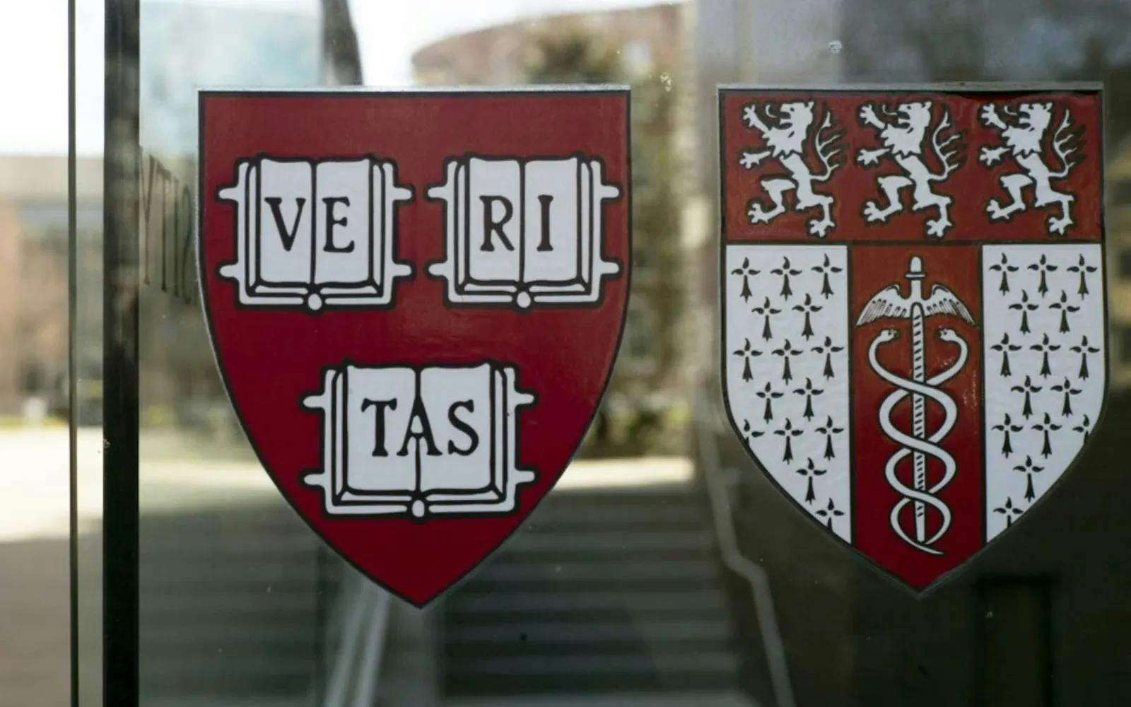 Donald Trump abre otro capítulo: congela US$ 2.000 millones a Harvard por rechazar sus exigencias