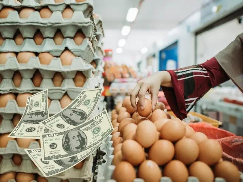 Huevos de oro: la insólita crisis que vive Estados Unidos por la escasez por gripe aviar