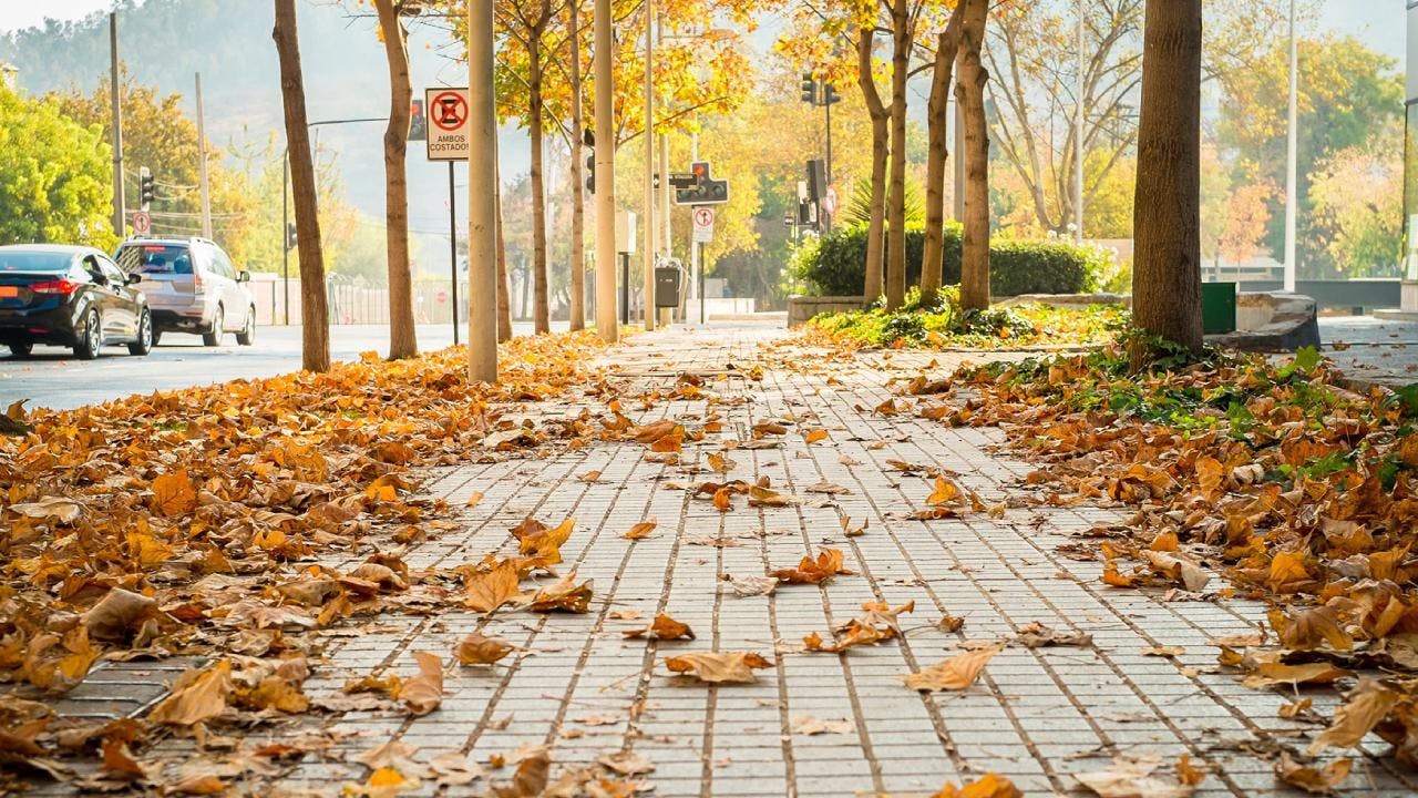 Llegó el otoño: ¿Por qué sigue el calor en la zona central?