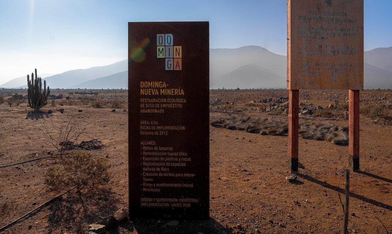 Nuevo capítulo de Dominga: Tribunal Ambiental ordena que el comité de Ministros revise nuevamente el proyecto