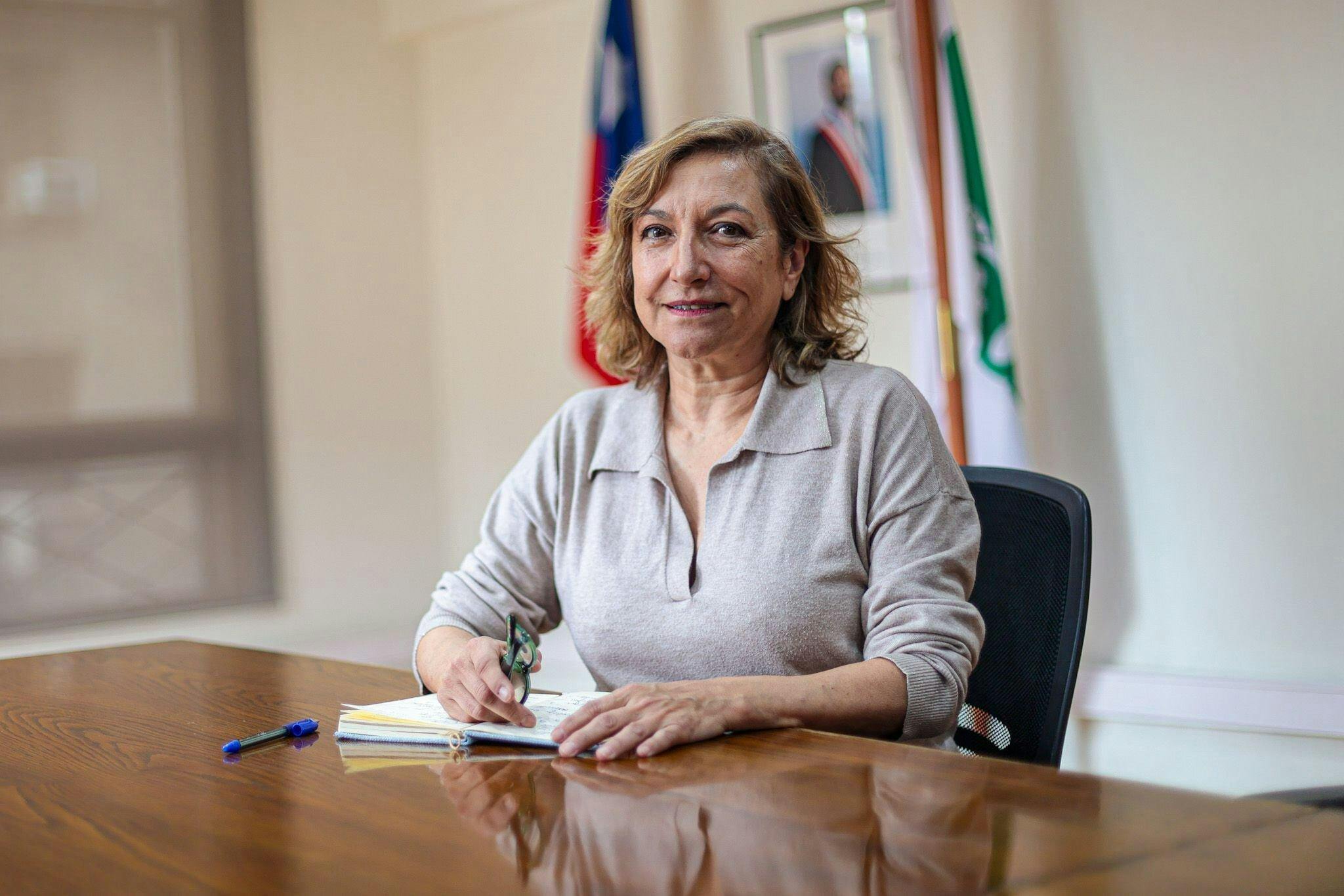 Directora Ejecutiva de CONAF: “Las condiciones este fin de semana son extremas y el llamado es a no realizar actividades que generen chispas”