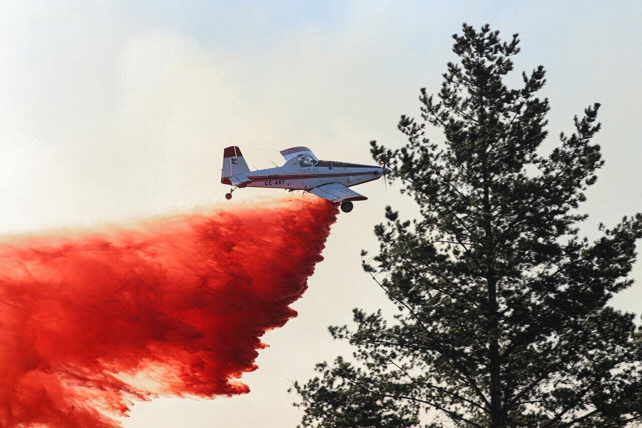 Incendios forestales: Cantidad de siniestros disminuyen pero aumentan las hectáreas quemadas