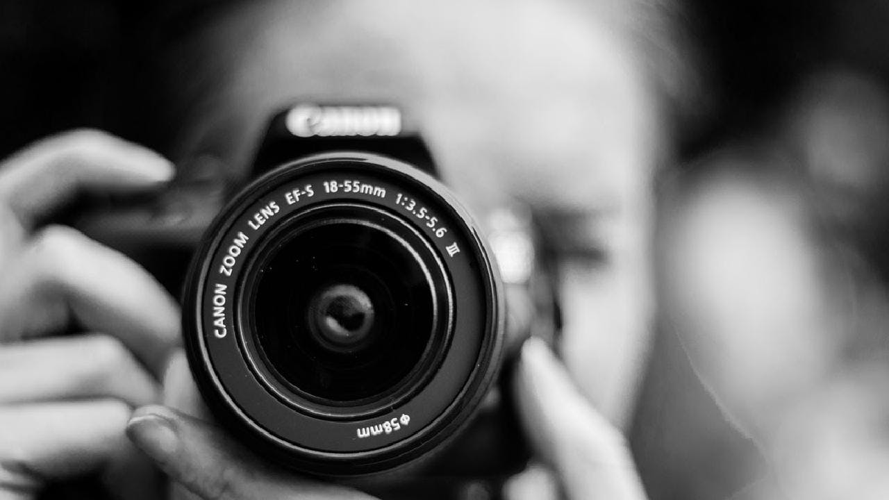 Close-up: El concurso de fotografía de lo pequeño de la naturaleza
