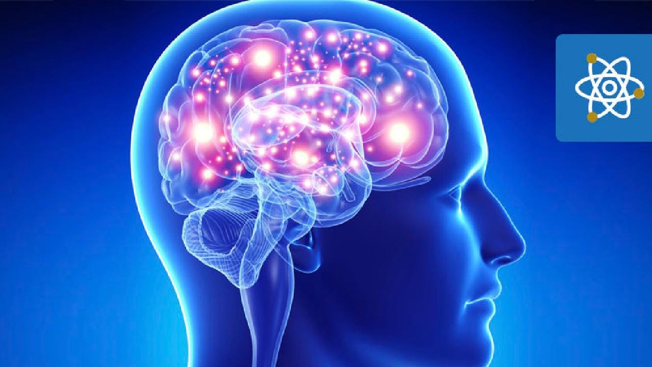 Álvaro Ruiz sobre los nano – pulsos eléctricos: “Activan neuronas, hacen manipulación fenotípica, cambia la expresión genética, cura las heridas más rápido, entre otros”