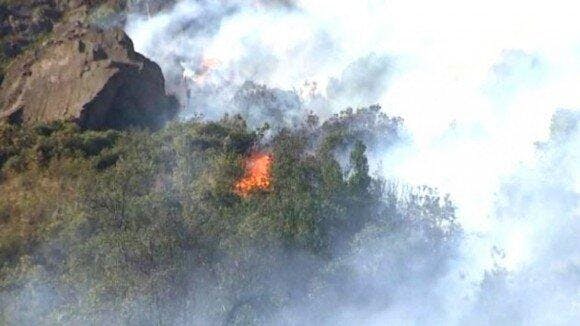 Incendios Forestales: Onemi mantiene alerta roja en La Araucanía