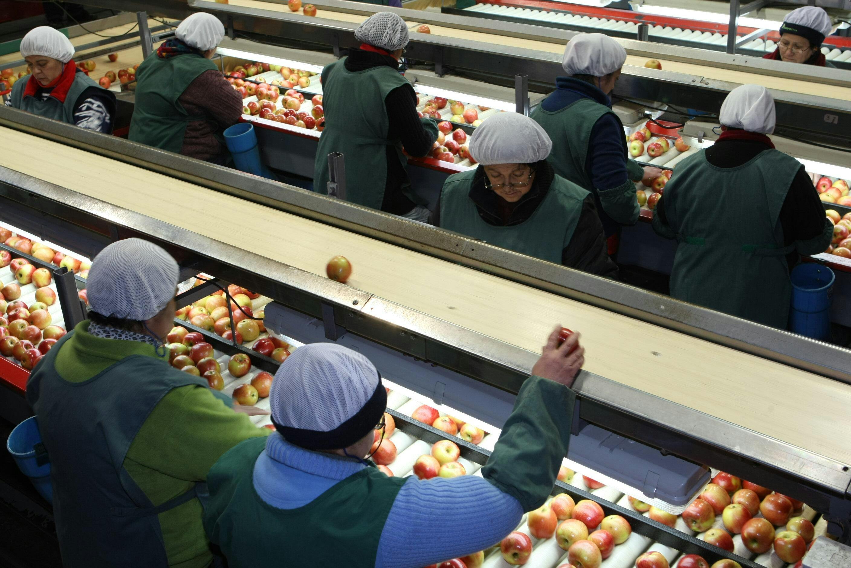 Fedefruta: Pérdidas adicionales por paro portuario ascendería a US$ 70 millones esta semana